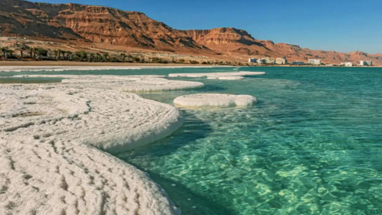 कोई जीव 1 सेकंड से ज्यादा समय तक नहीं रह सकता जिंदा