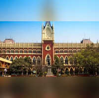 बाबरी की तर्ज पर मुर्शिदाबाद में मस्जिद निर्माण पर रोक से हाईकोर्ट का इनकार कहा- हिंसा हुई तो ममता सरकार