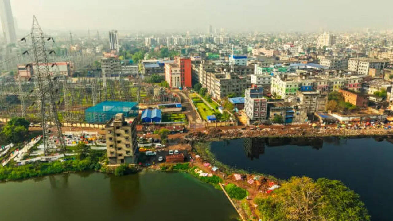 ​लाइव बटरफ्लाई एनक्लोजर