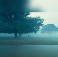 UP Weather यूपी में गलन वाली ठंड 9 जिलों में कोहरे का अलर्ट तेज पछुआ हवाएं बढ़ाएंगी ठिठुरन