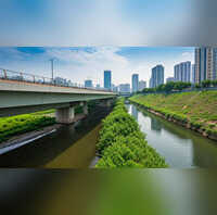 Noida News चिल्ला एलिवेटेड रोड के काम ने पकड़ी रफ्तार जानें कहां तक पहुंचा प्रोजेक्ट कब भरेंगे फर्राटा