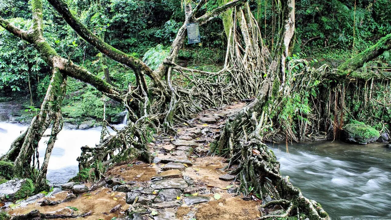 ​मावलिन्नॉन्ग, मेघालय​