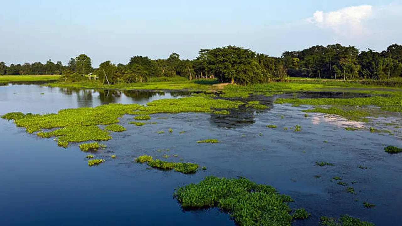 ​माजुली, असम​