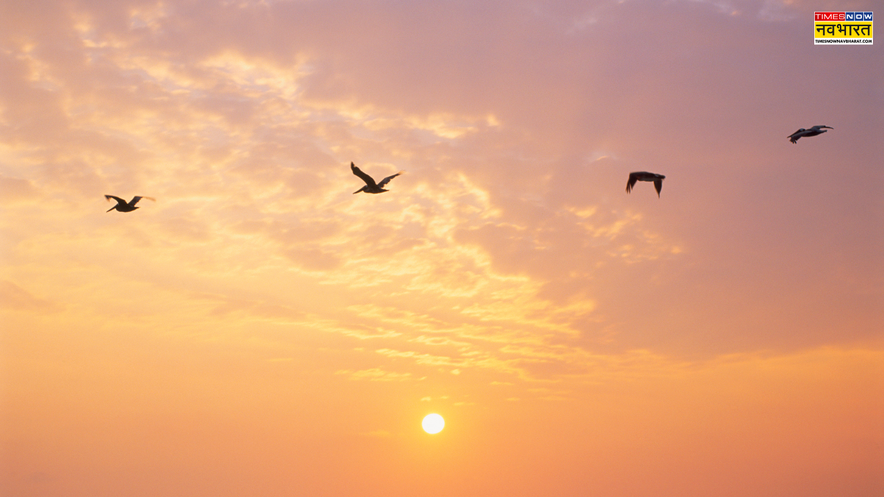 बुधवार की सुबह