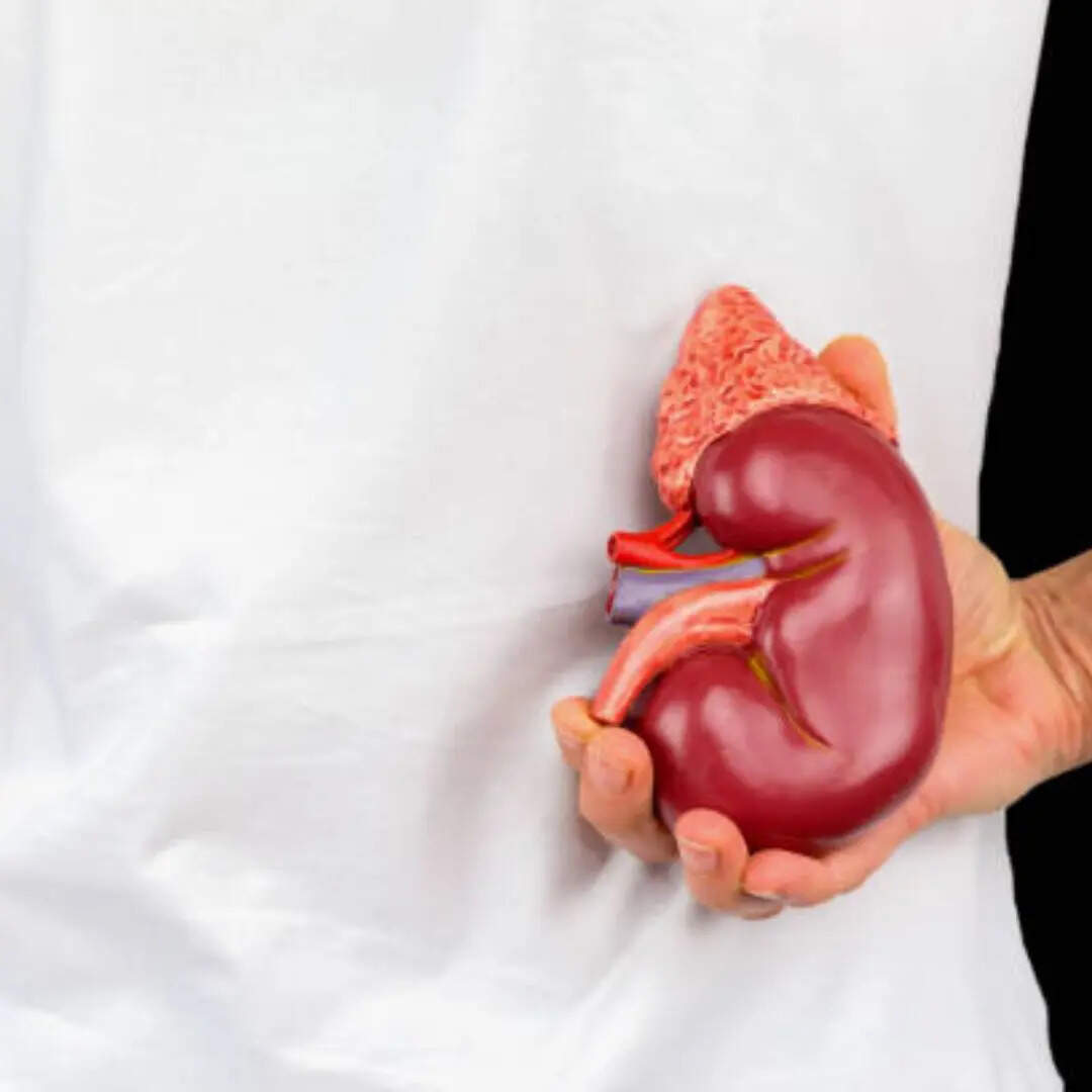 पथरी बनने के प्रमुख कारण क्या हैं