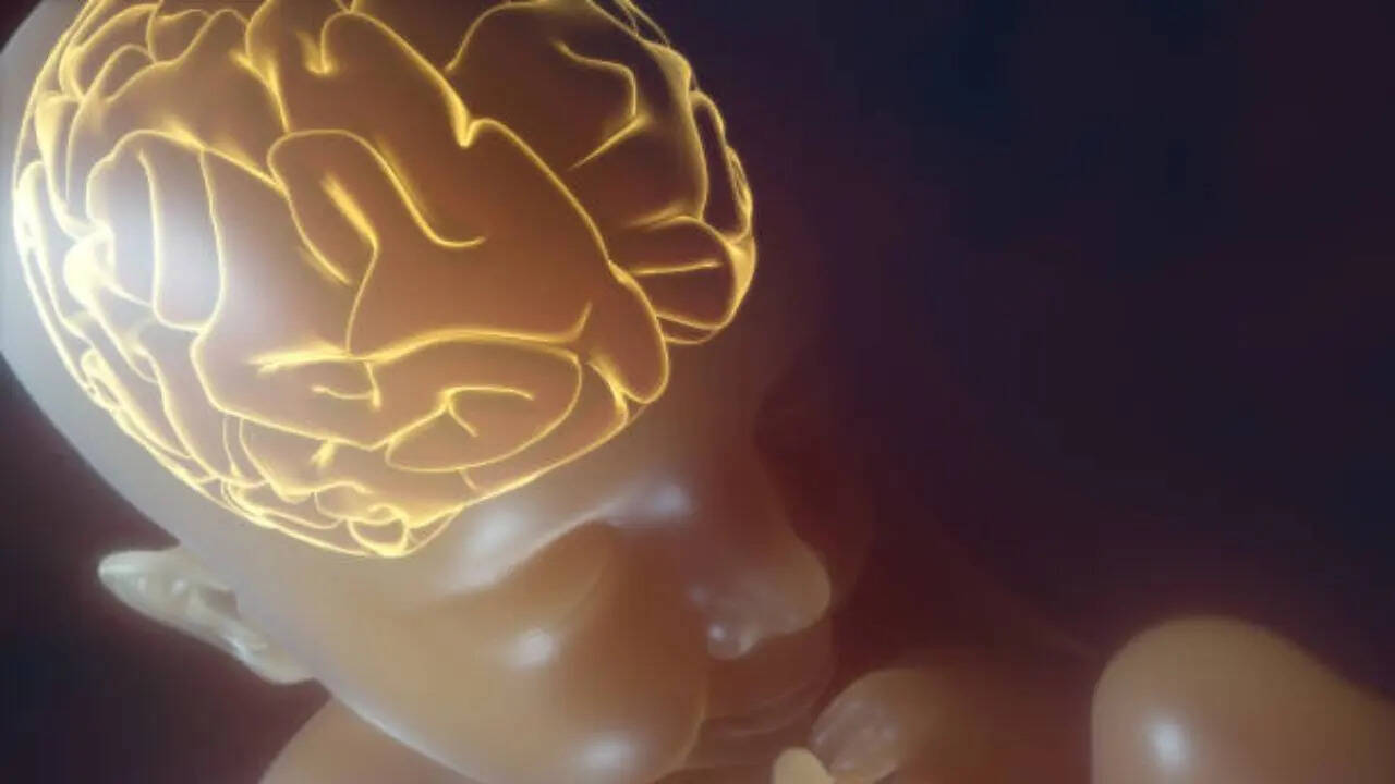 नवजात बच्चों में दिमाग का यह हिस्सा नहीं हुआ होता है विकसित 