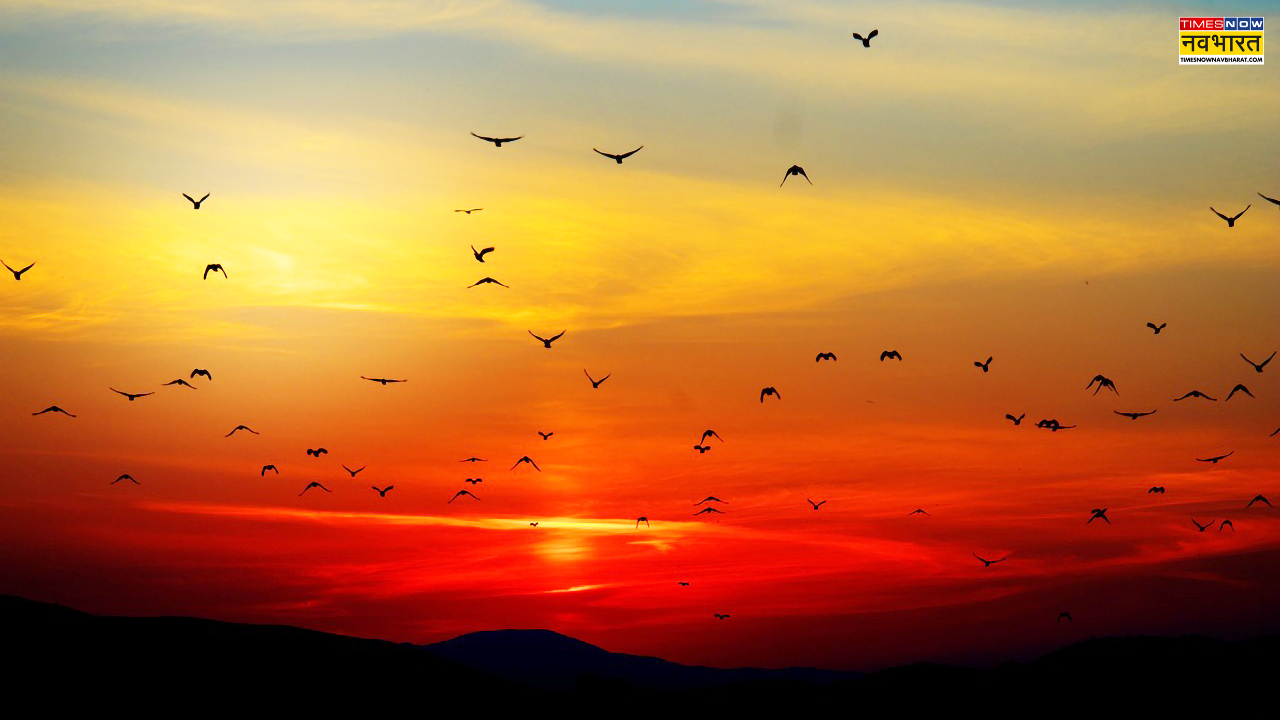 गुरुवार की सुबह