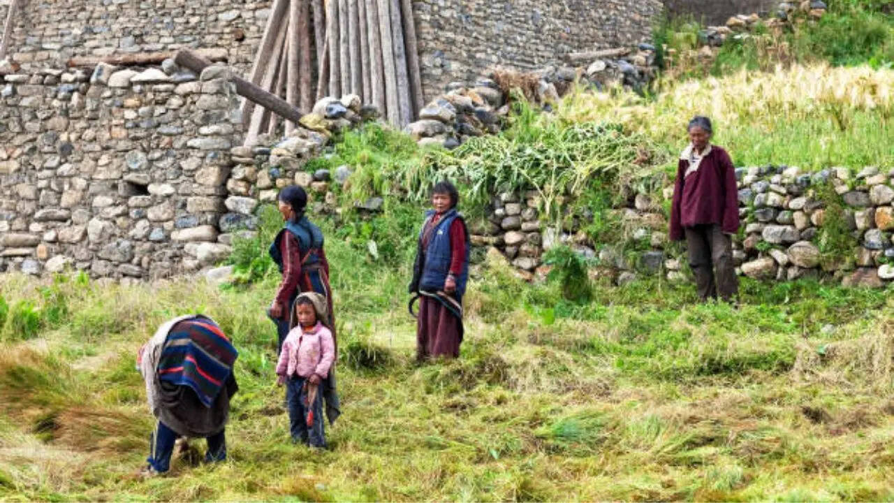 जो लड़की नहीं करवाती, उसका मजाक उड़ाया जाता