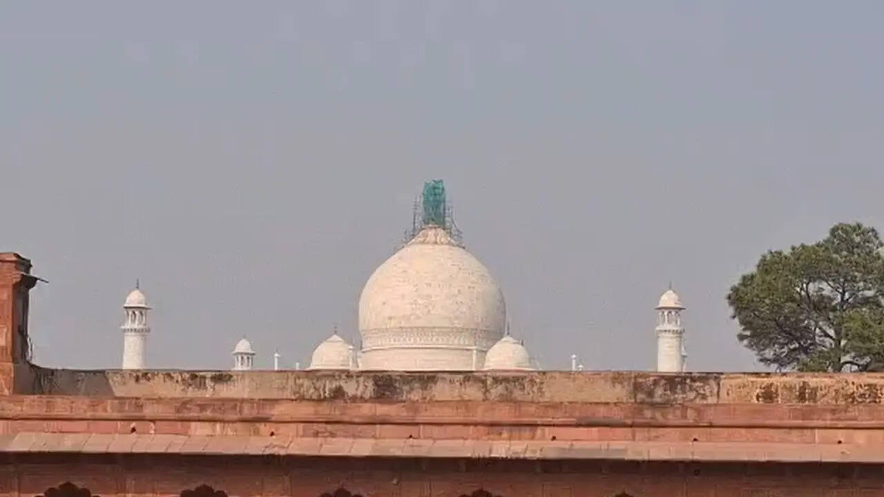 पाड़ से ढकी ताजमहल की खूबसूरती