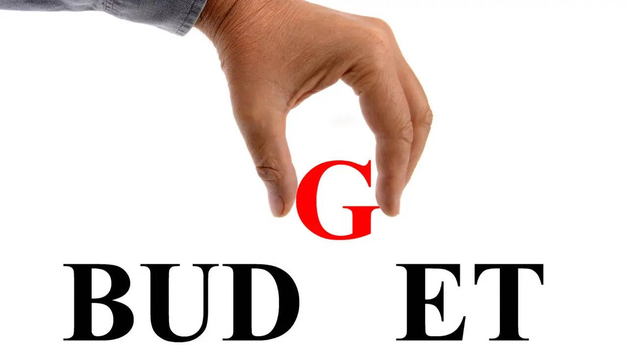 ​सरकार का पैसा कहां खर्च होता है​