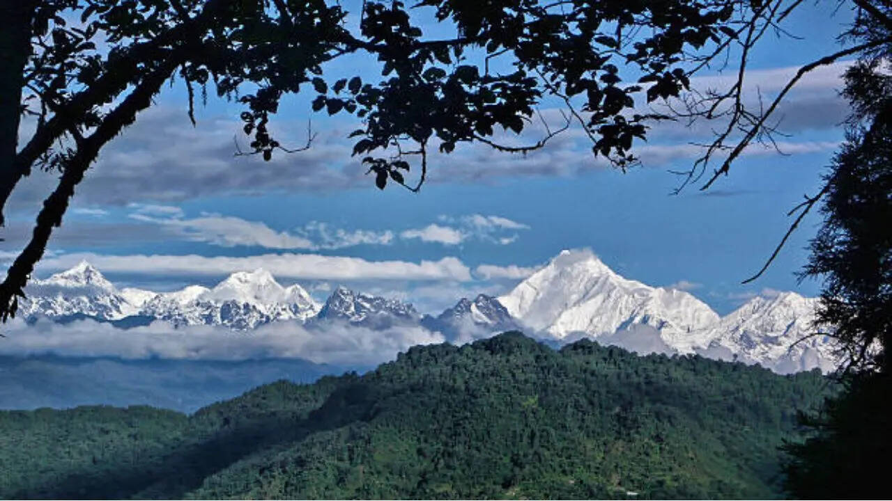आनंद महिंद्रा ने क्या कहा?
