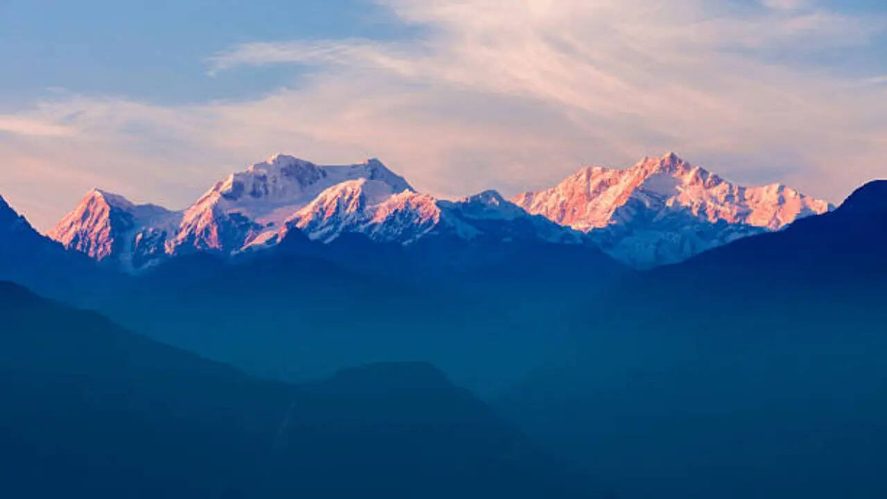 कहां उगता है यह पौधा?