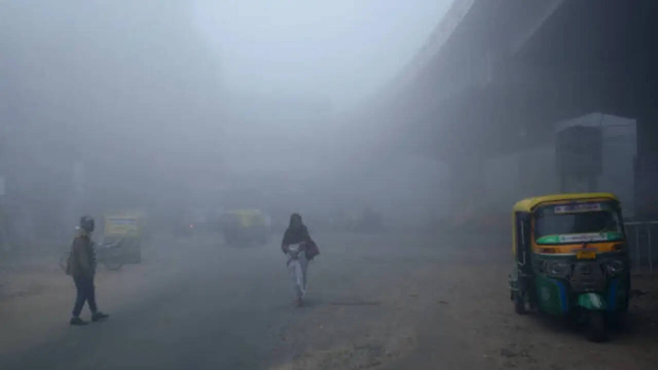 आज 22 जिलों में घना कोहरा का अलर्ट