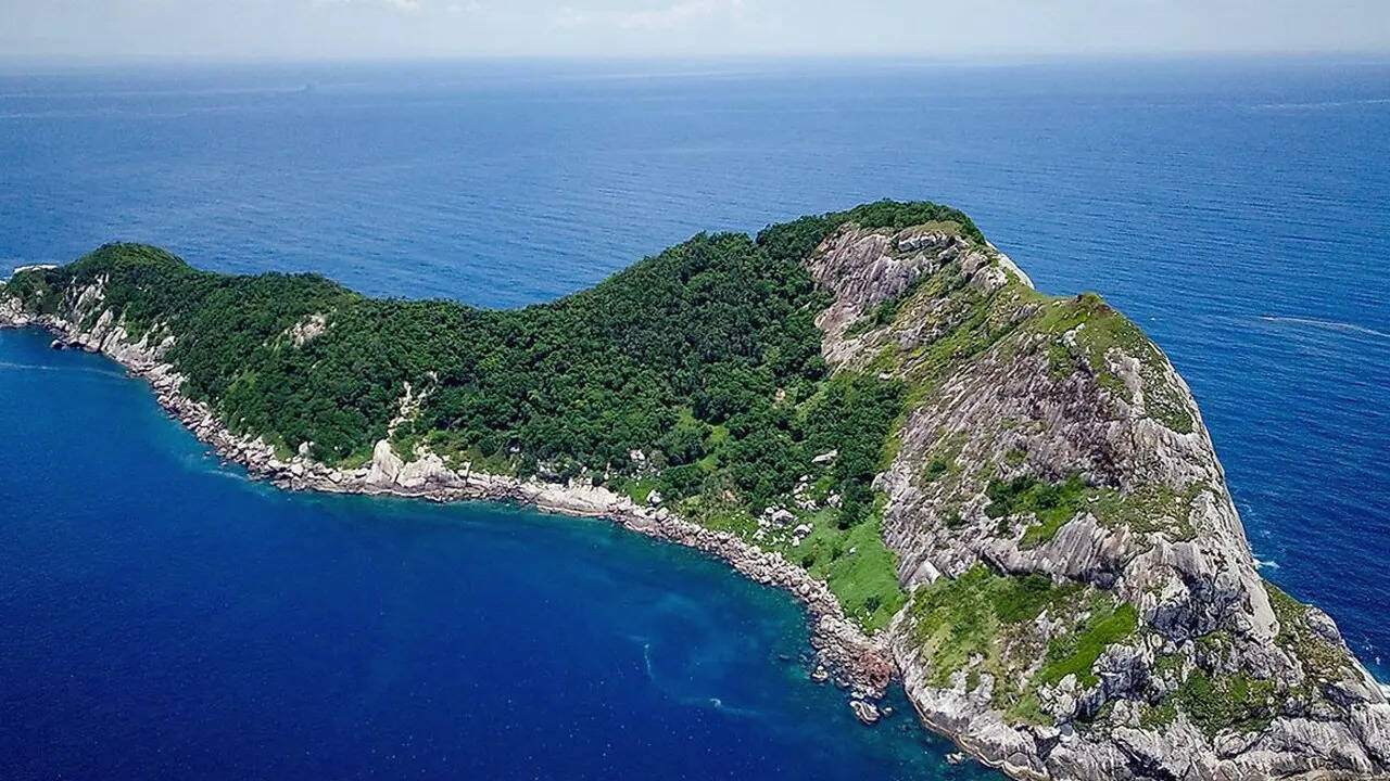 स्नेक आइलैंड ब्राजील