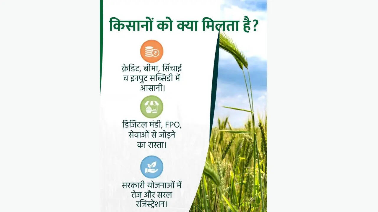 ​आधार से जुड़े मोबाइल नंबर पर आए OTP से वेरिफिकेशन करें। इसके बाद मोबाइल नंबर दोबारा डालकर OTP से पुष्टि करें। अब नया पासवर्ड बनाएं और सेव कर लें। इस तरह आपकी यूजर आईडी और पासवर्ड तैयार हो जाएगा।​