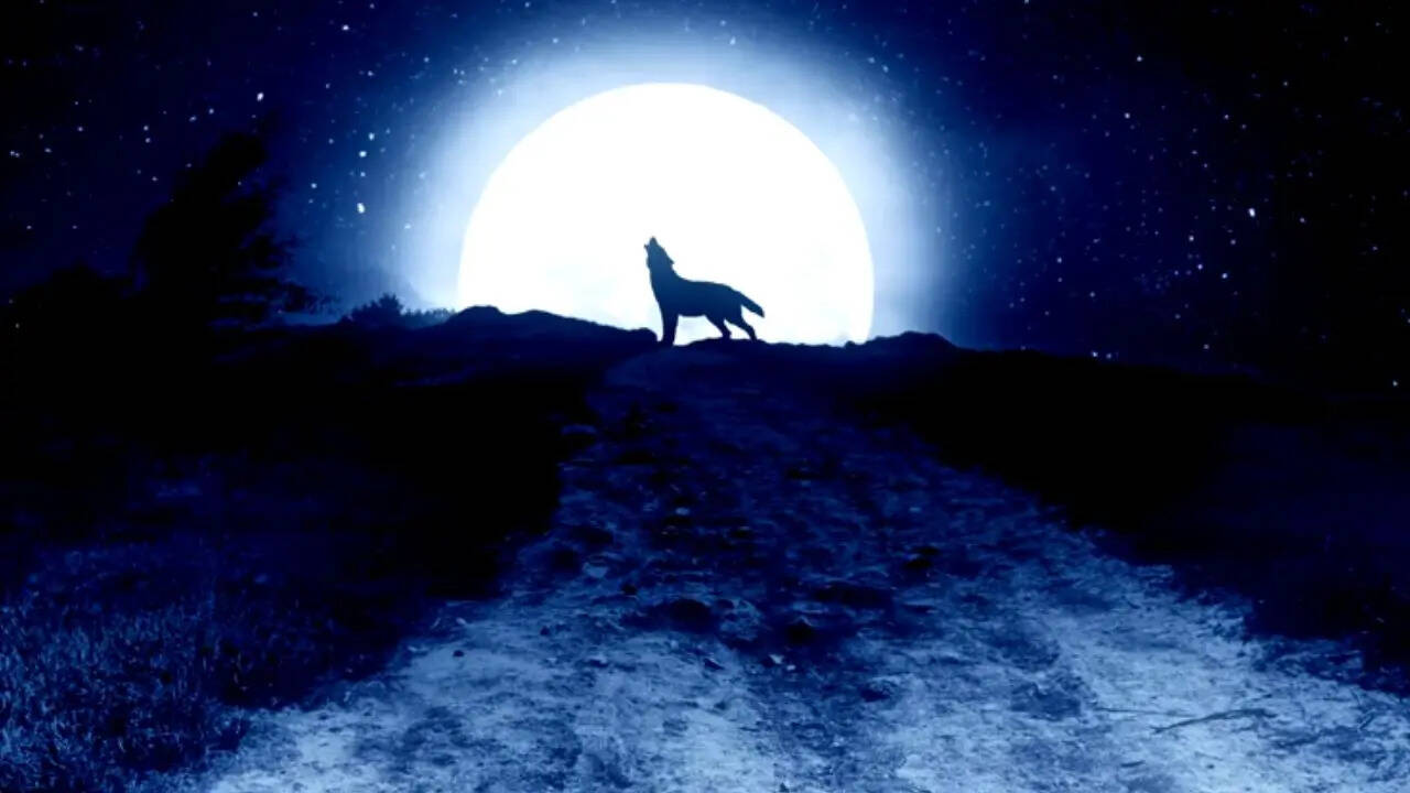 Wolf Moon 2026: साल की पहली पूर्णिमा पर कल दिखेगा वुल्फ मून, इतने बजे देख  पाएंगे अद्भुत नजारा