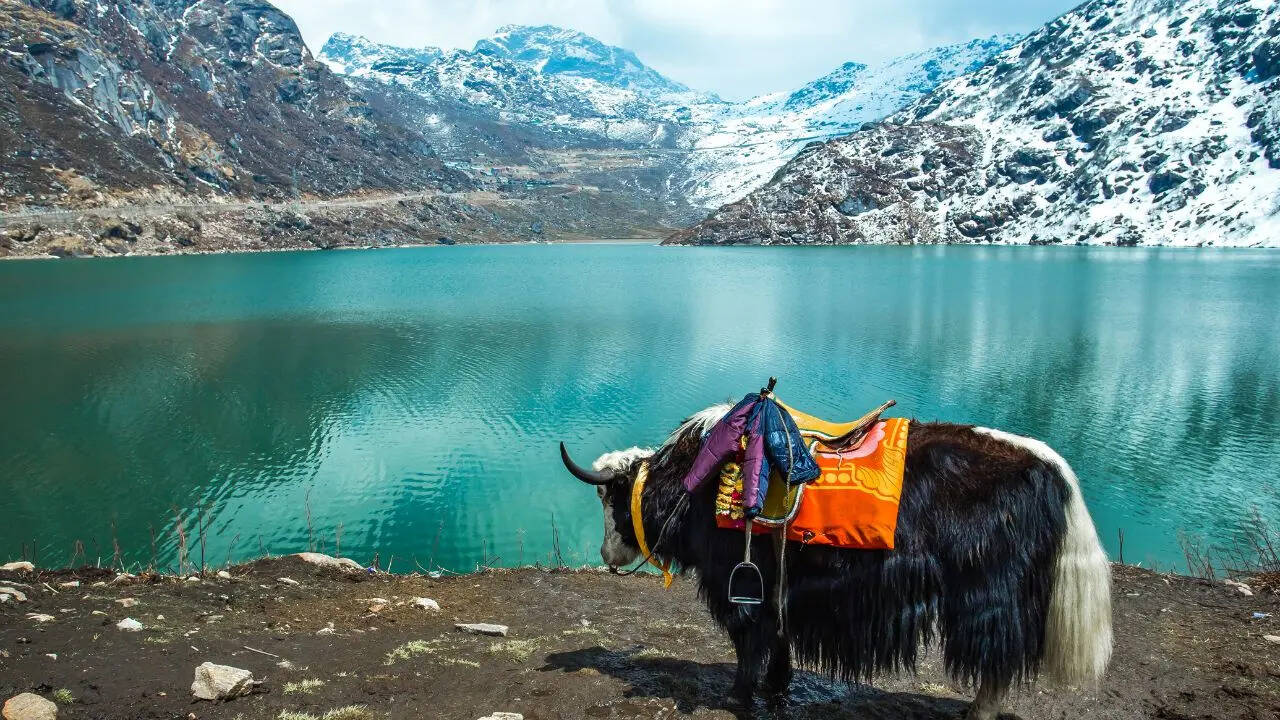 दुनिया का पहला ऑर्गेनिक राज्य