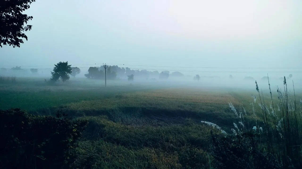 ​मौसम वैज्ञानिकों का क्या कहना है?