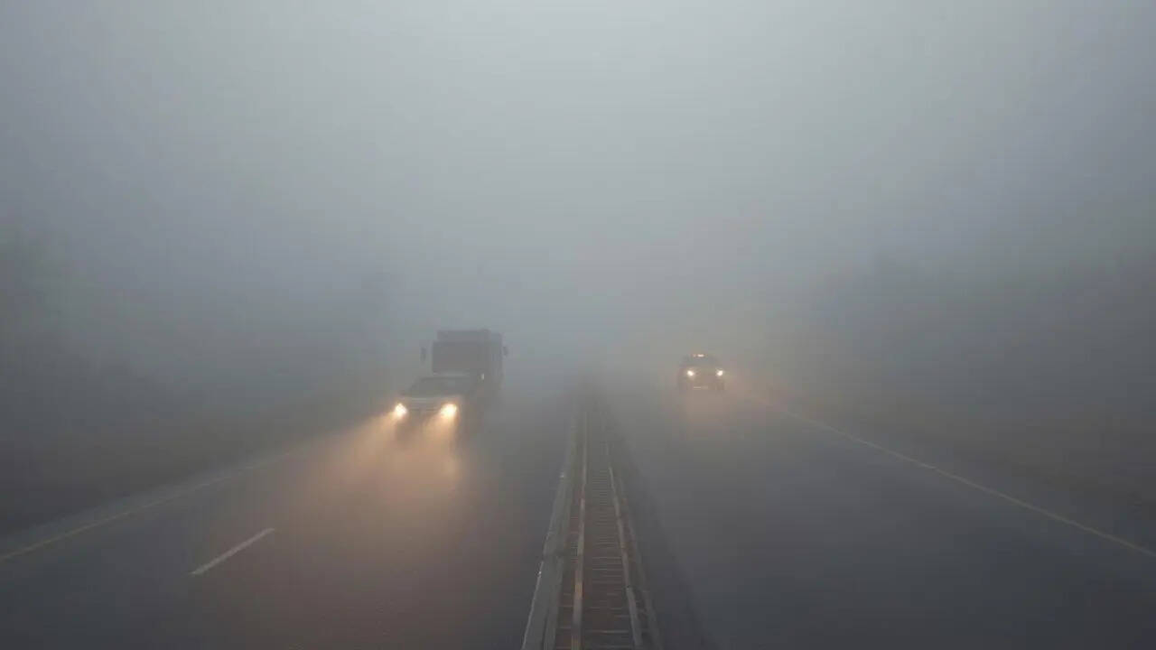 ​मुरैना में सीजन का सबसे घना कोहरा​