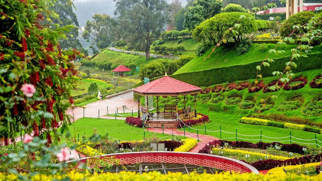 नीलगिरि की पहचान ऊटी