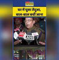 Prayagraj Leopard Rescued प्रयागराज में घर में घुसा तेंदुआ ग्रामीणों की सूझबूझ से हुआ रेस्क्यू