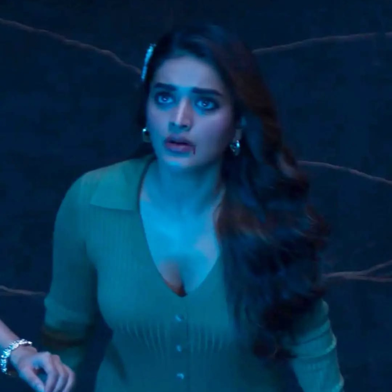 ​निधि अग्रवाल (Nidhhi Agerwal)