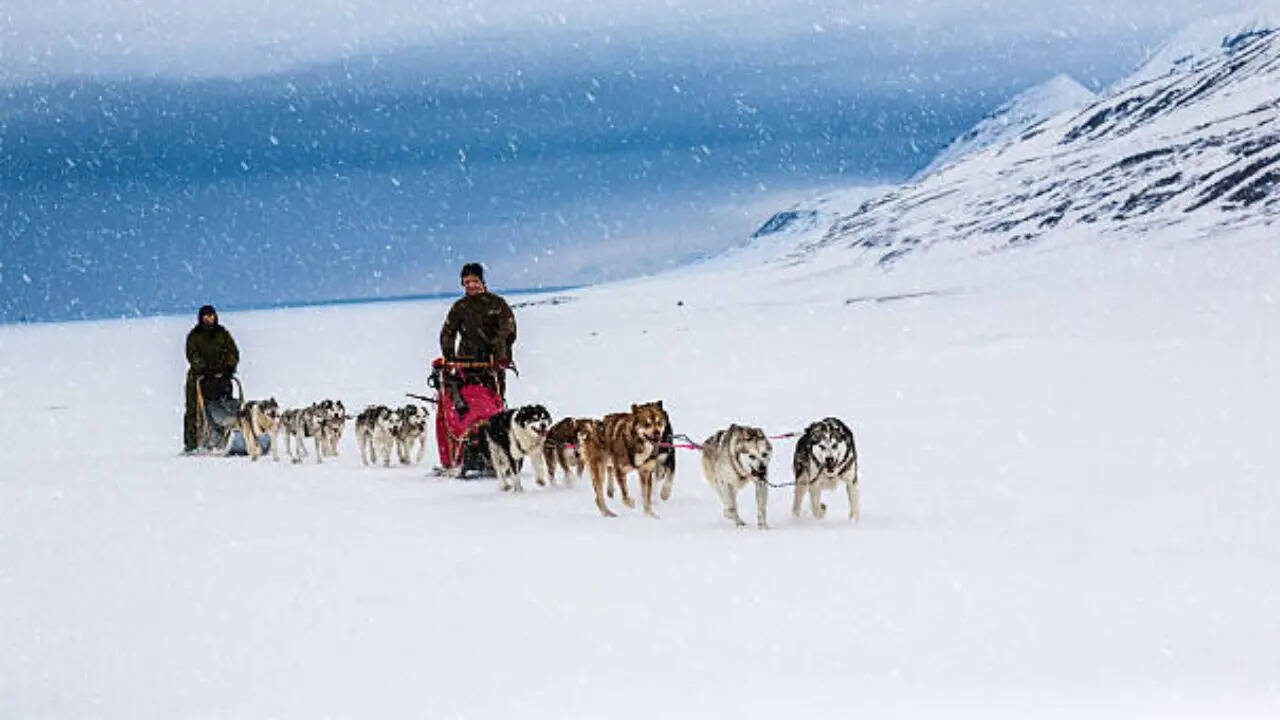 जब मरने की कगार पर आते हैं लोग