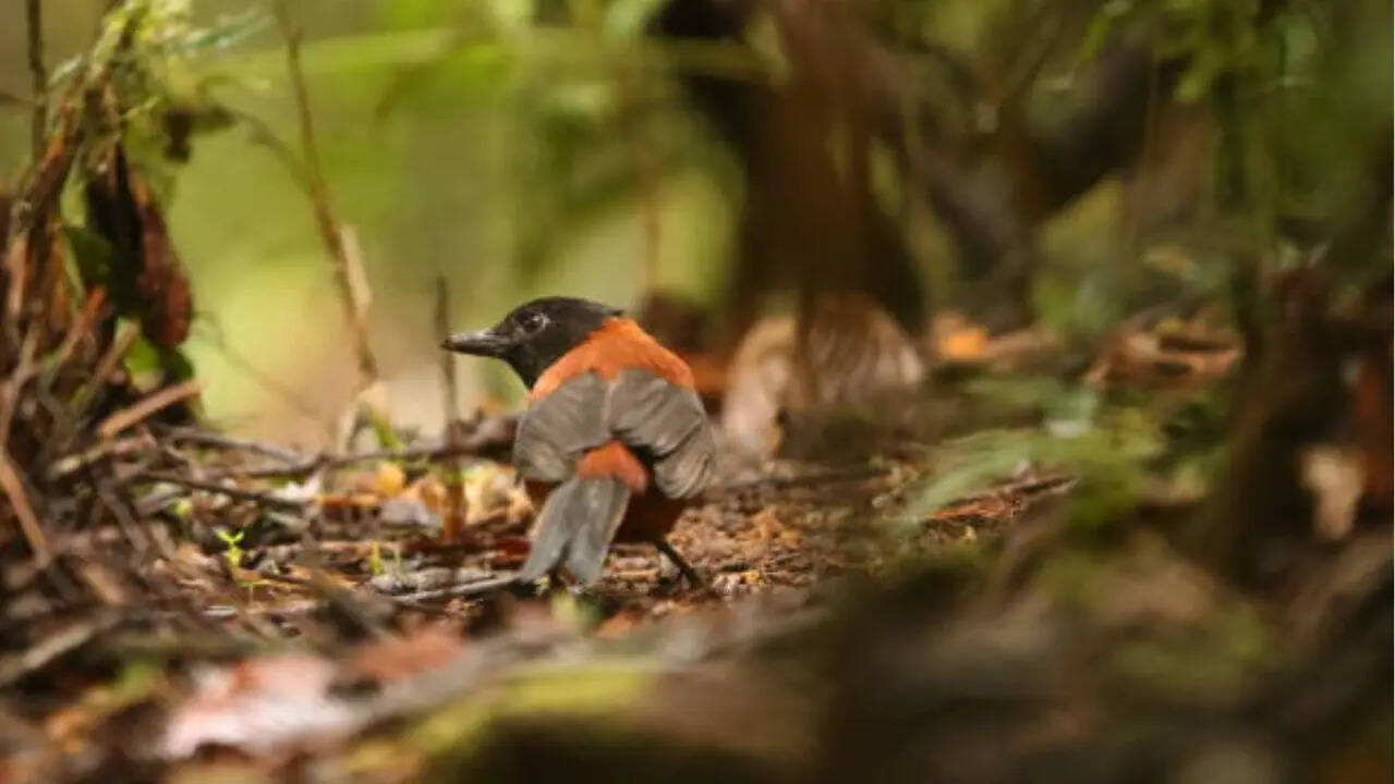 त्वचा में पैदा करता है झुनझुनी और सुन्नता