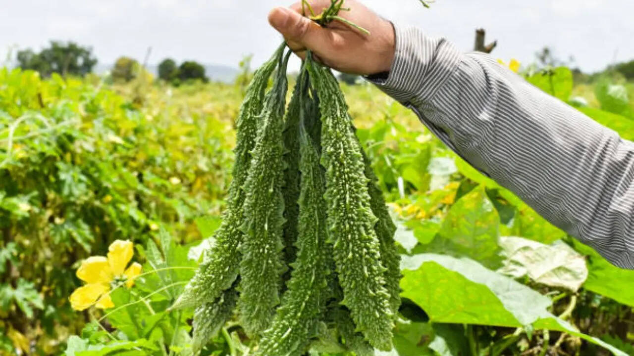 वीडियो पर लोगों का रिएक्शन