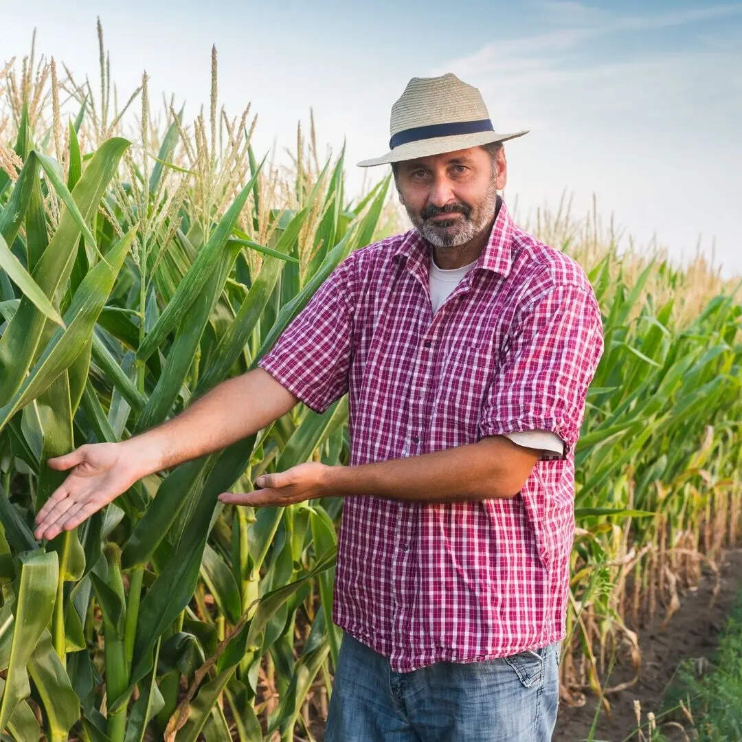 अब सबकी नजर बजट 2026 पर