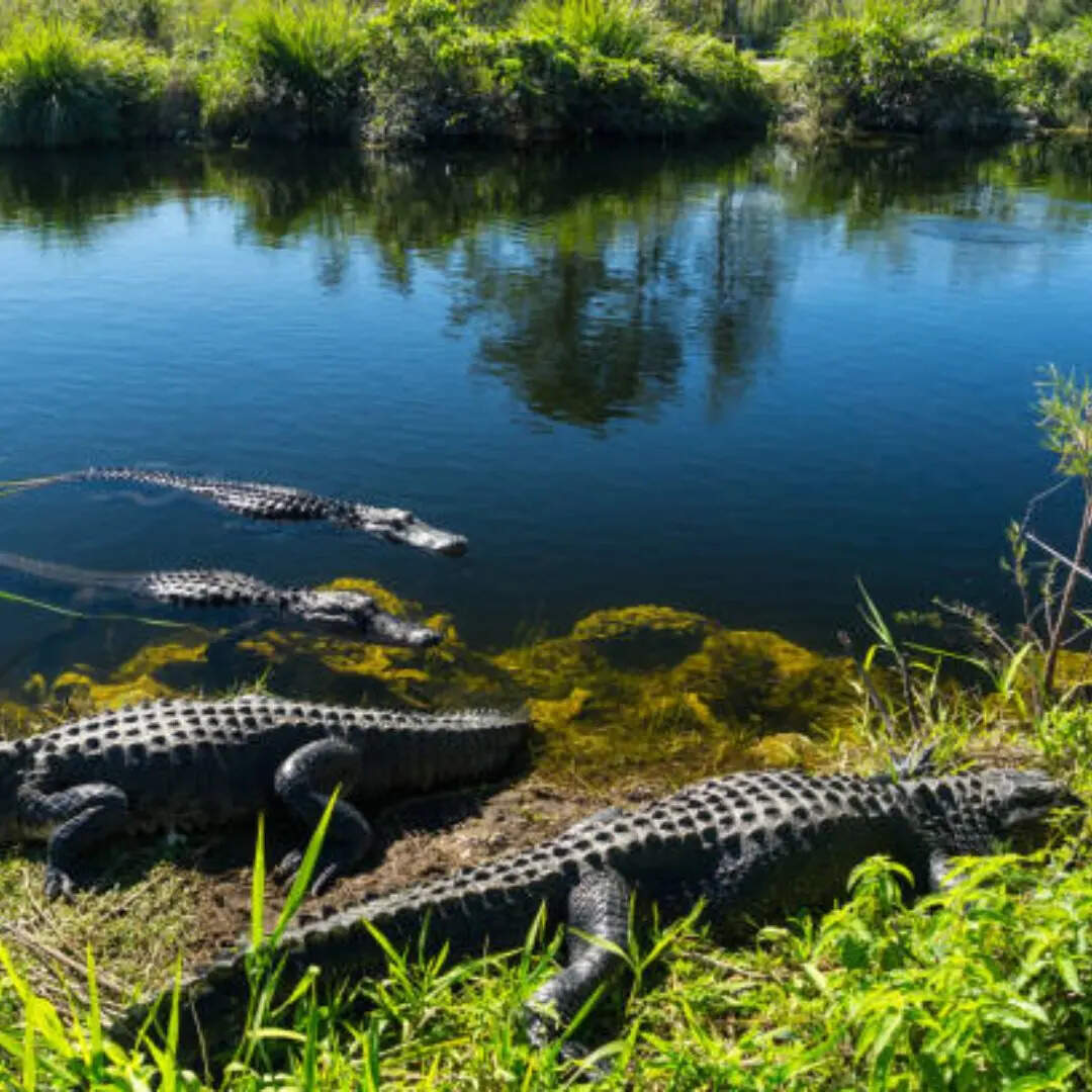 कौन सी नदी