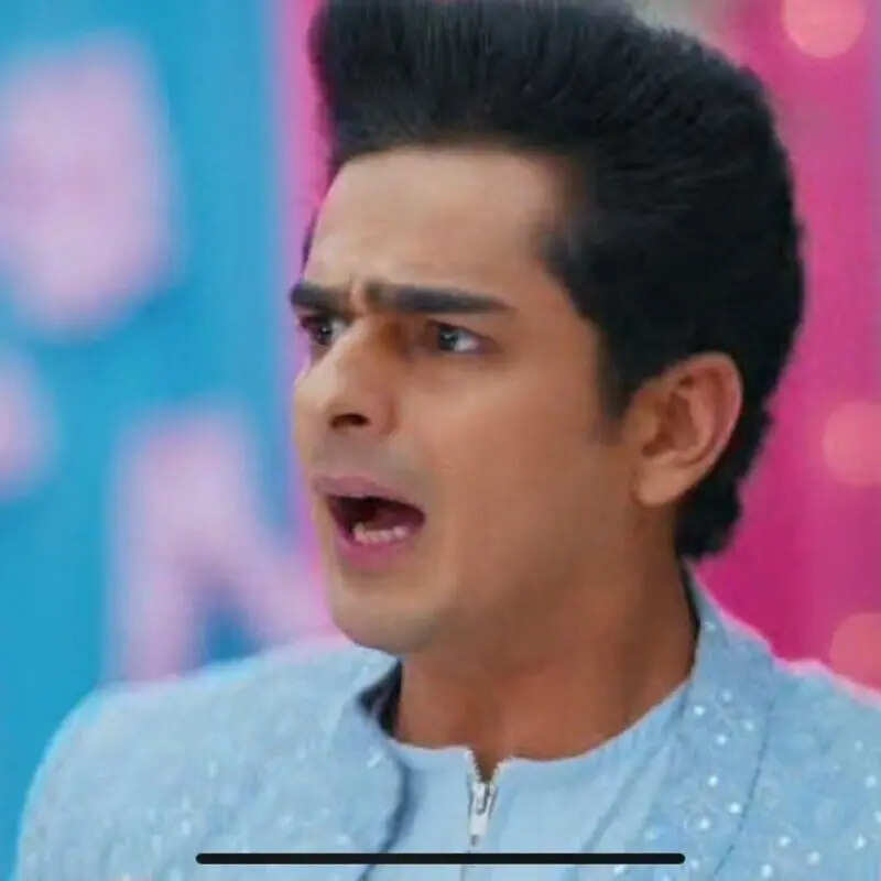 परिवार के खिलाफ खड़े होंगे अनिल और राजा 