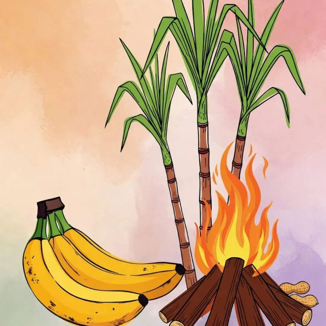 3. मॉडर्न