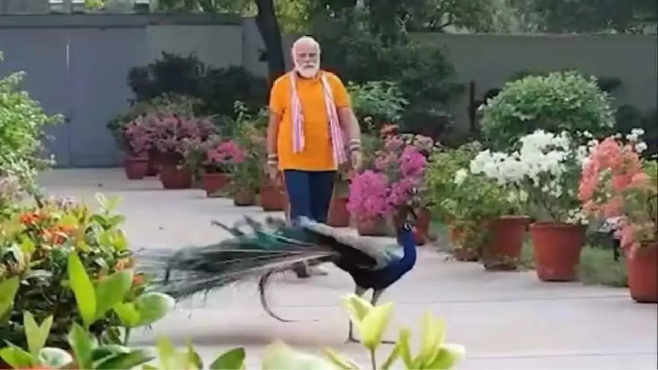 प्रधानमंत्री नरेंद्र मोदी कहां रहते हैं?