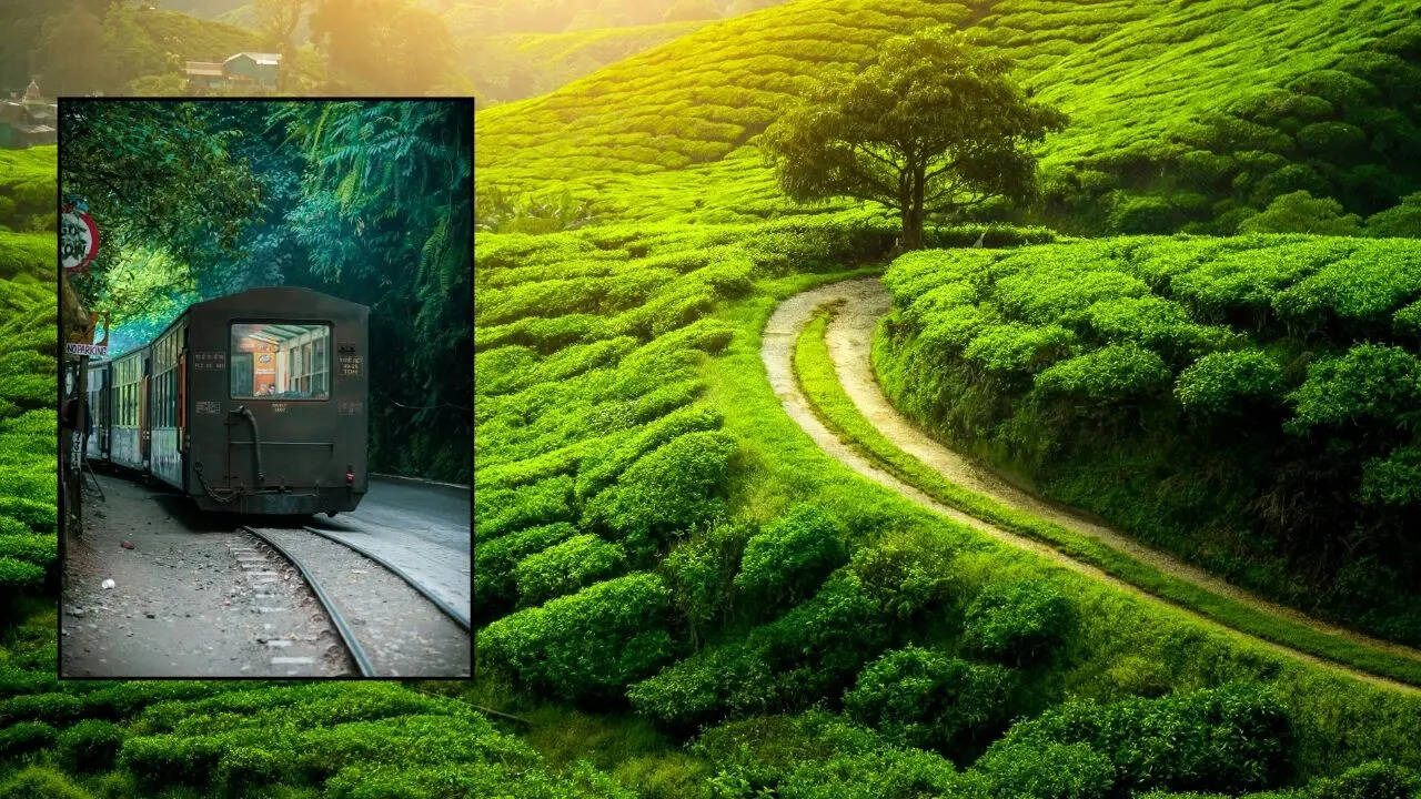 पश्चिम बंगाल के पड़ोसी राज्यों के नाम
