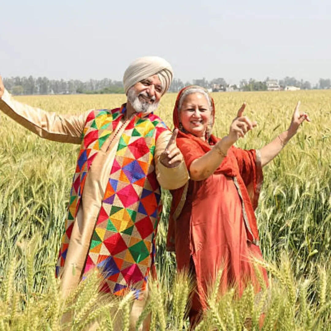 ​पेंशन और एन्युटी प्लान​