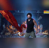 The Raja Saab Box Office Collection Day 7 बॉक्स ऑफिस पर औंधे मुंह गिरी प्रभास की फिल्म खाते में आए चिल्लर