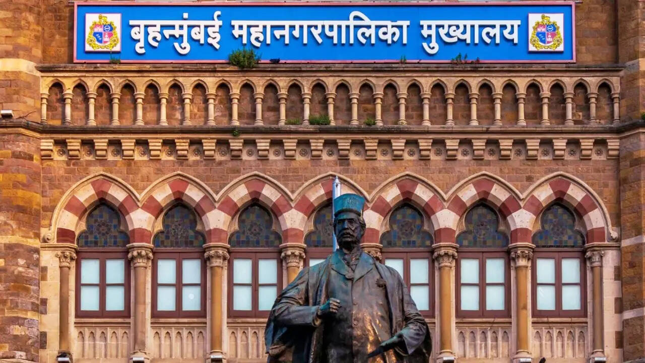 बीएमसी का बजट