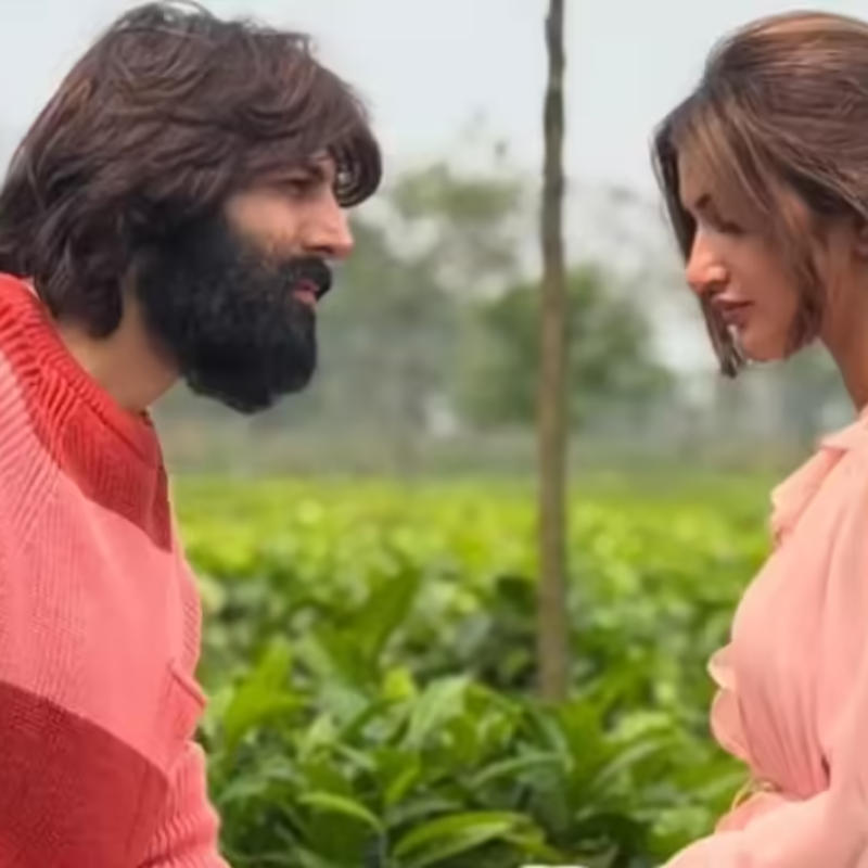 ​कार्तिक आर्यन-श्रीलीला (Kartik Aaryan–Sreeleela)