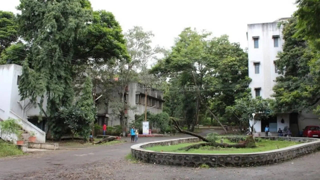 महिलाओं को देता है सशक्त बनने का मौका