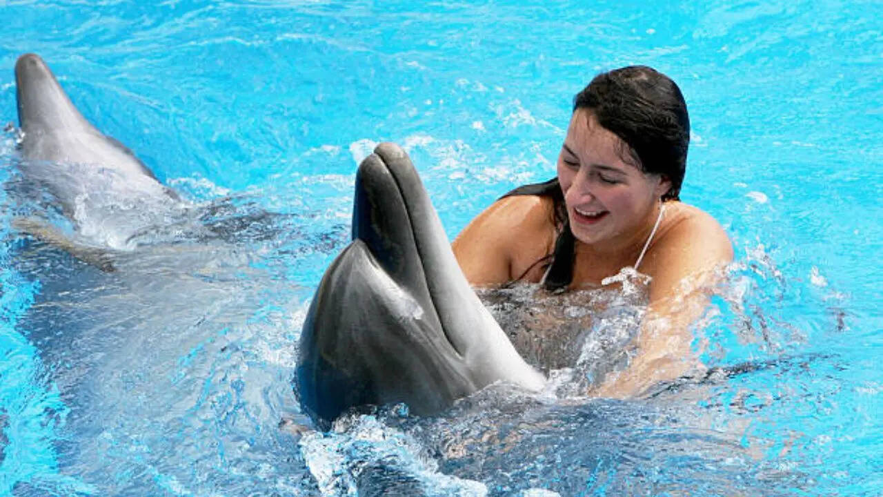 महिला से दूरी बर्दाश्त नहीं कर पाया था डॉल्फिन