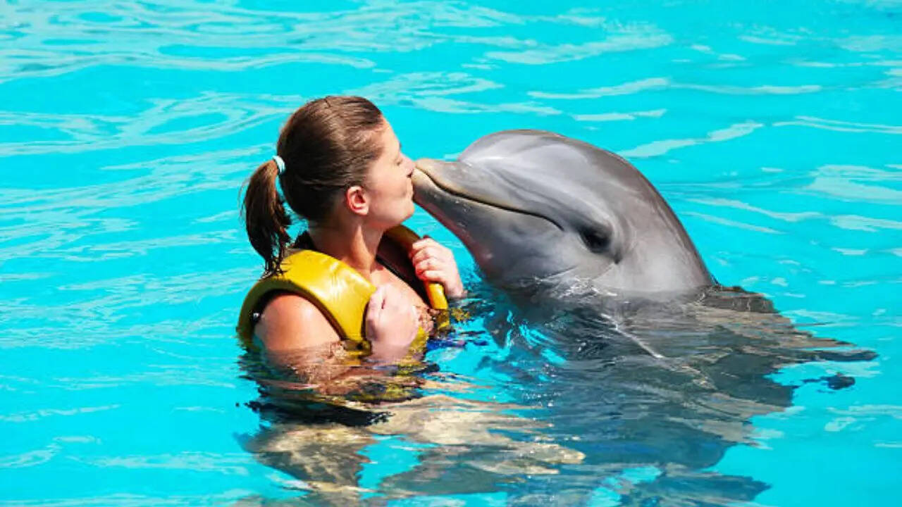 डॉल्फिन को हो गई थी बेपनाह मोहब्बत