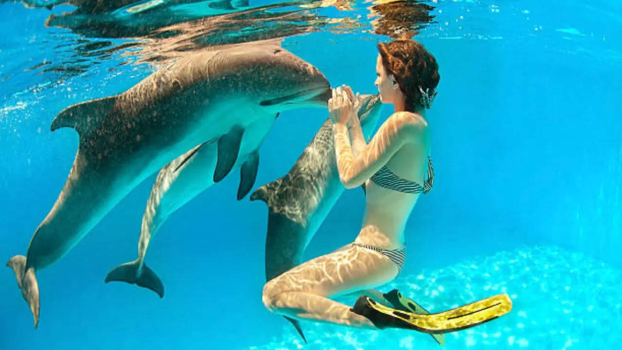 पीटर डॉल्फिन को मार्गरेट हॉवे लावट नाम की महिला से हुआ प्यार