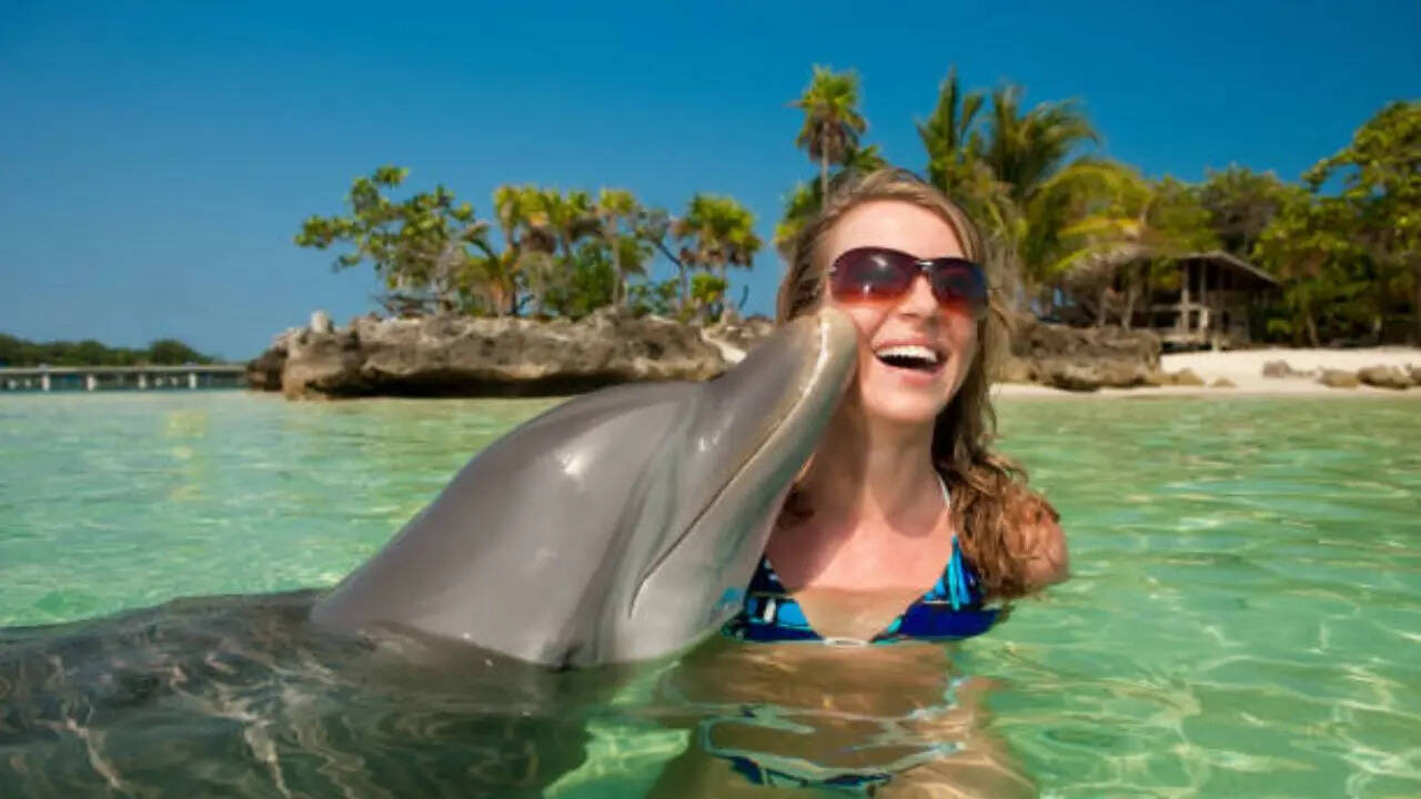 महिला ट्रेनर के प्यार में पड़ा डॉल्फिन