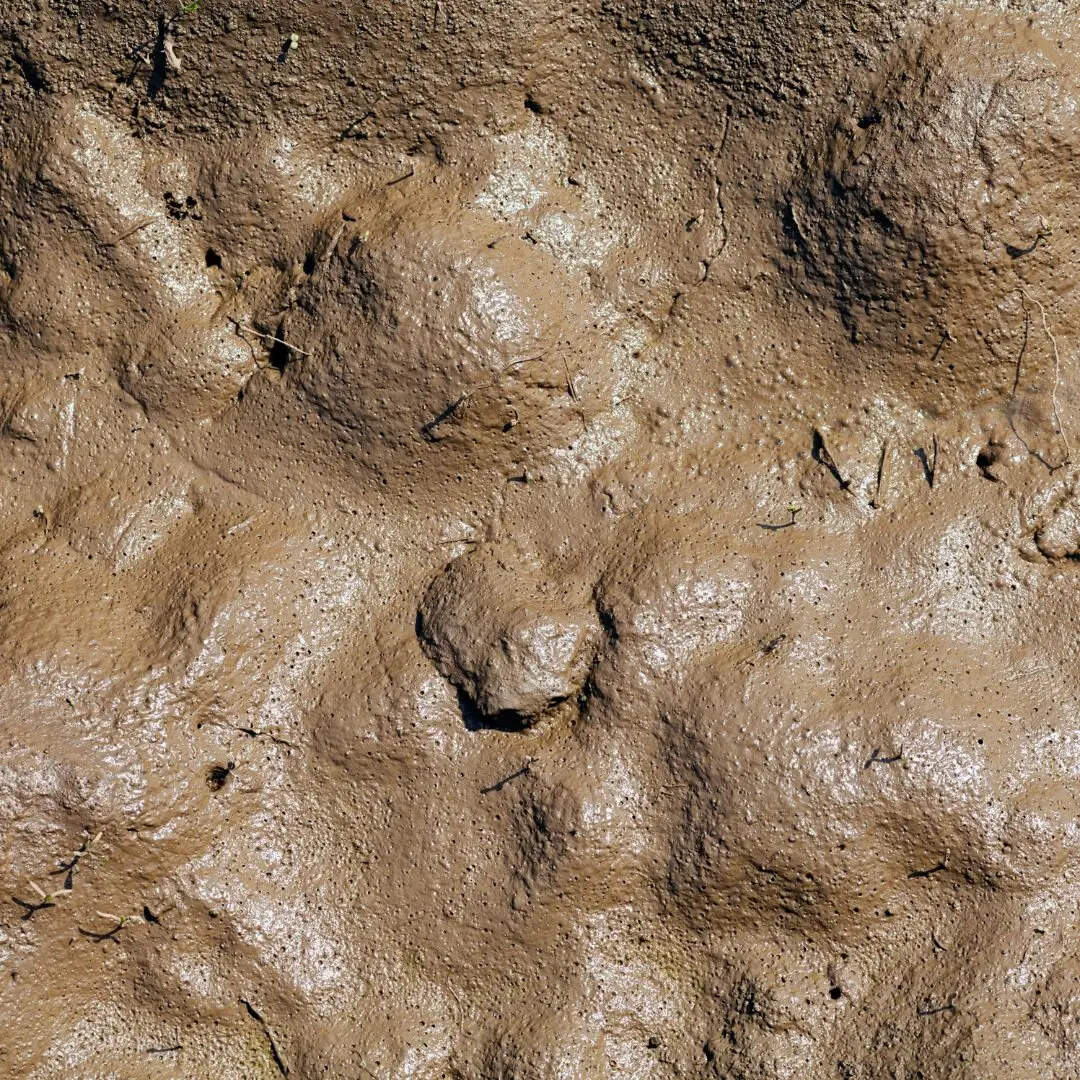 चीन के 'एक्सपोर्ट बैन' का जवाब 