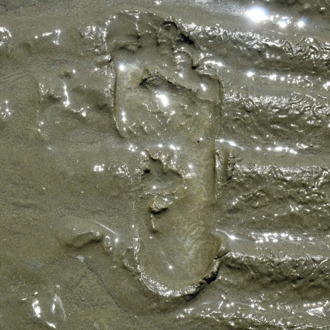 ​तकनीक और रिफाइनिंग की चुनौती​