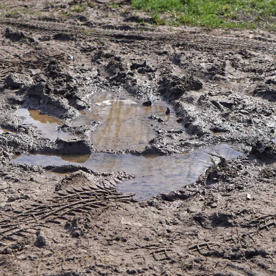 ​मिनिमिशिमा द्वीप के पास मिला भंडार​