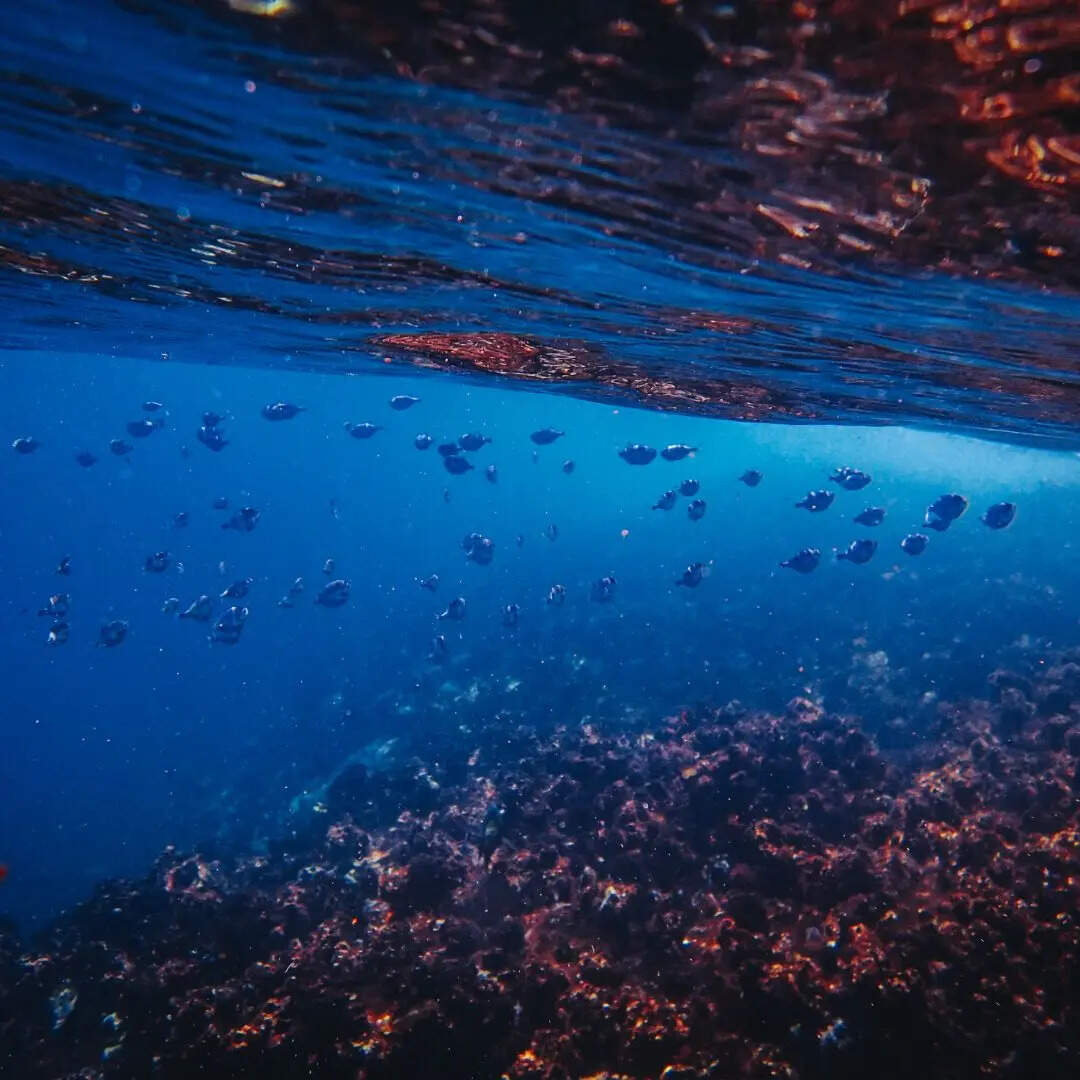 ​चीन की बादशाहत को चुनौती​