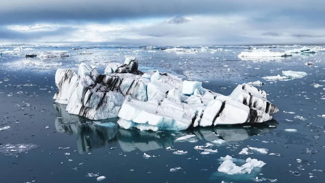 आर्कटिक क्षेत्र के बारे में, Arctic Gk Facts