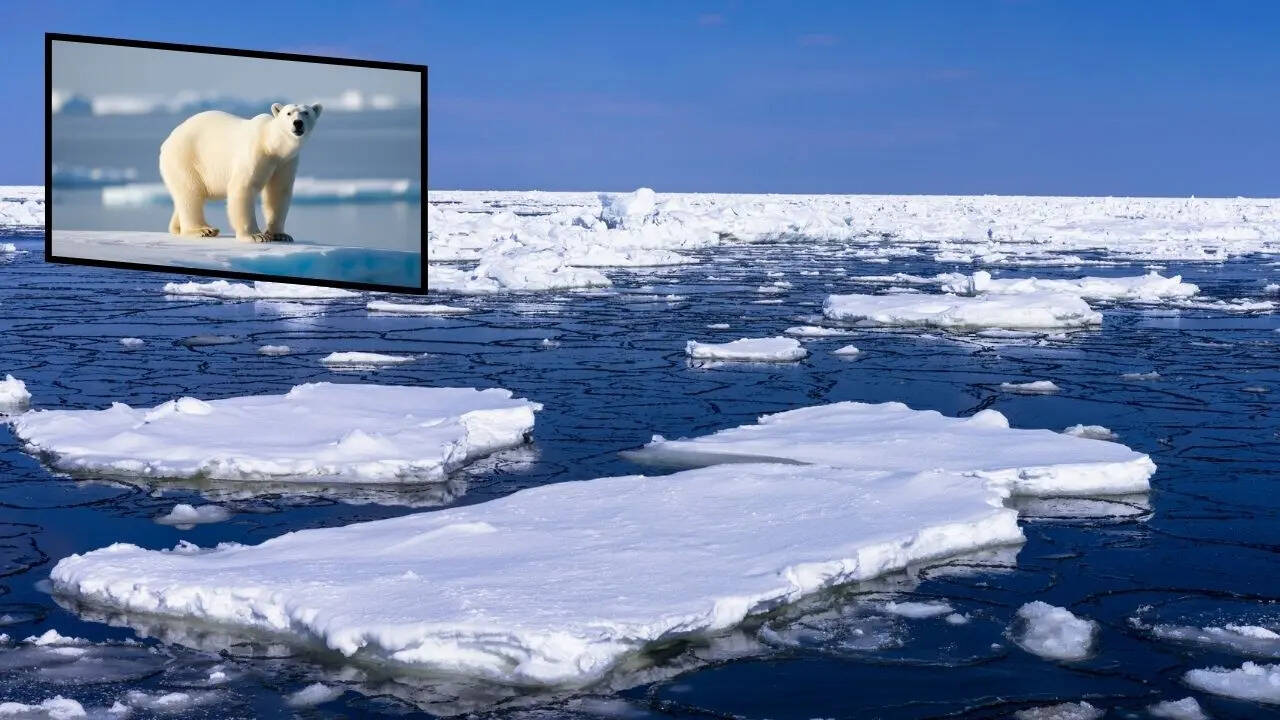 आर्कटिक करता है दुनिया के तापमान को नियंत्रित